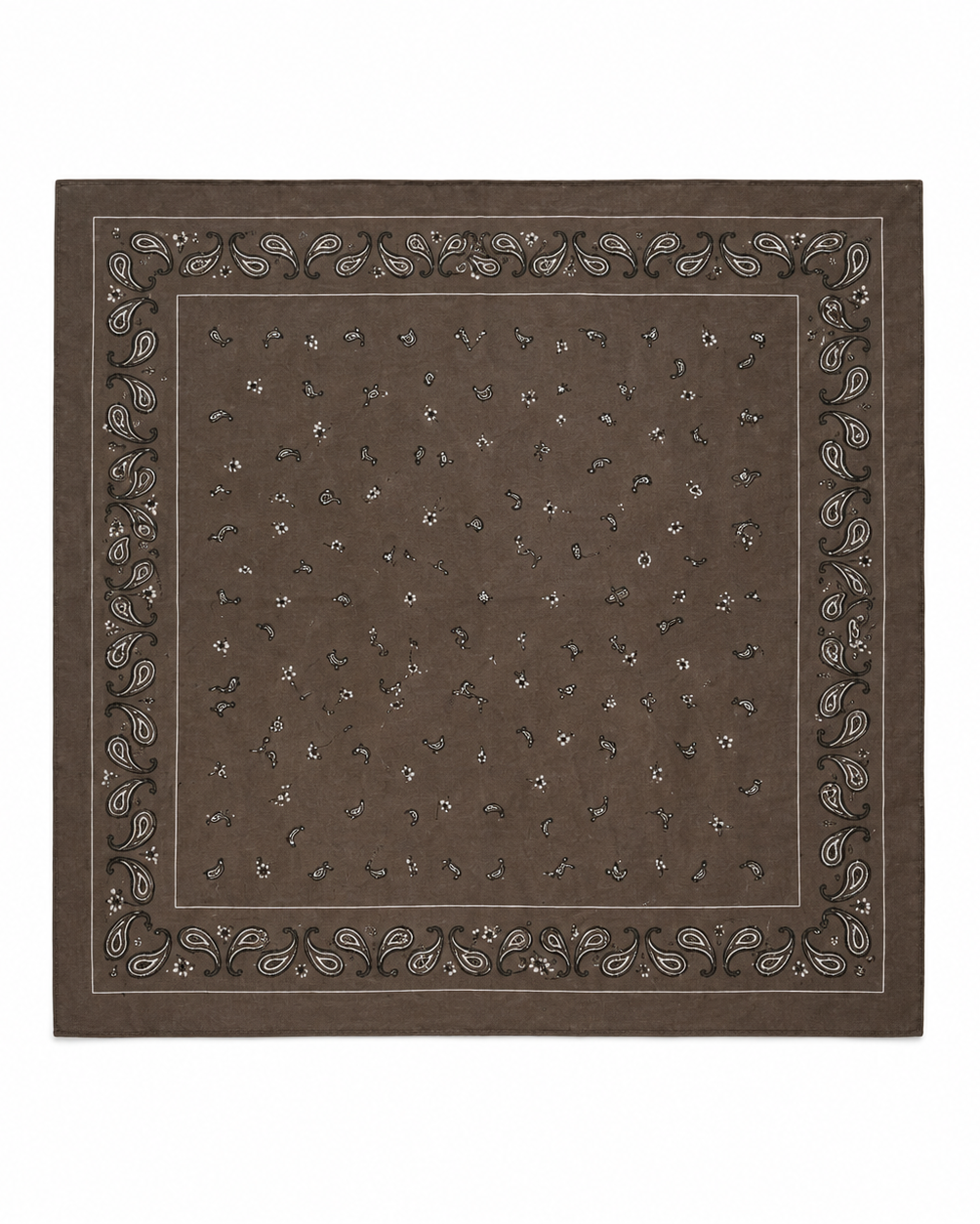 ALONSO PAISLEY SCARF