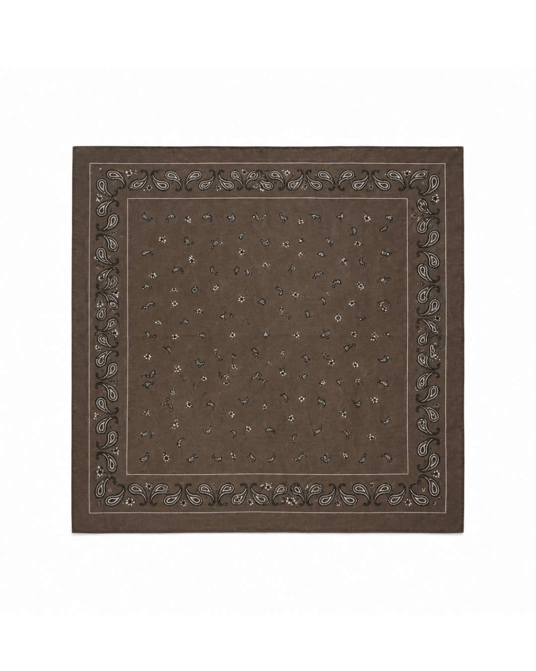 ALONSO PAISLEY SCARF